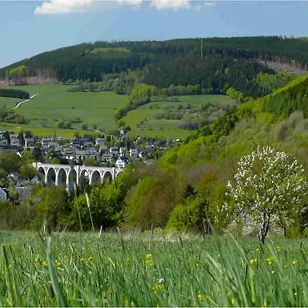 Wellnesshotel Bürgerstuben 3* Willingen (Upland)