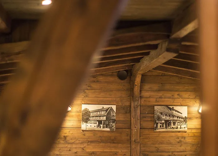 Wellnesshotel Buergerstuben 3* Willingen (Upland)