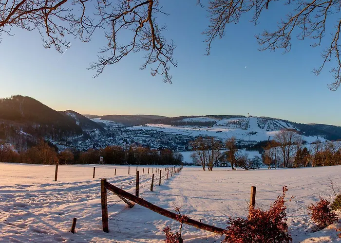 Wellnesshotel Buergerstuben 3* Willingen (Upland)